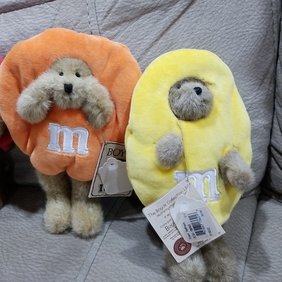 Boyd bear M&Ms - Picture 2 of 4